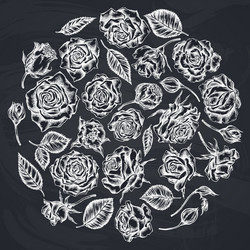 Chalk Rose Floral Circle Vector Image