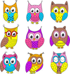 Colorful Cartoon Owls Vector Image
