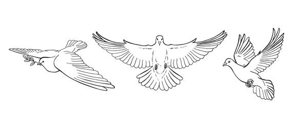 Peaceful Dove Tattoo Examples  TatRing