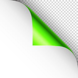 green paper curl curled page corner with shadow vector image