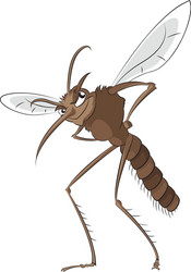 Angry mosquito cartoon Royalty Free Vector Image Angry mosquito cartoon Royalty Free Vector Image