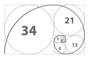 Fibonacci sequence of circles golden ratio spiral vector