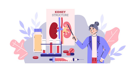 Doctor explaining about kidney organ structure vector