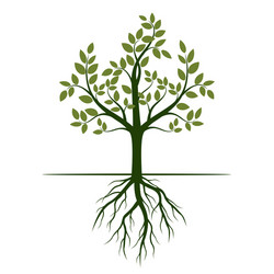 Green tree with roots vector