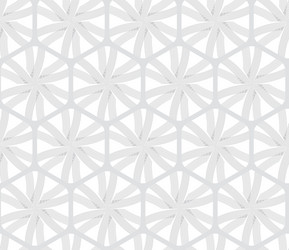 repeating ornament gray hexagon net with lines vector image