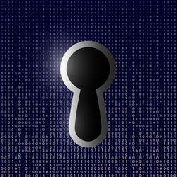 keyhole on the background of binary code vector image