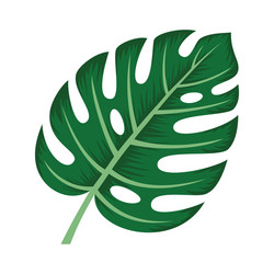 Monstera leaf with rib cage vintage apparel print Vector Image