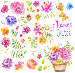 Watercolor Floral Collection Vector Image