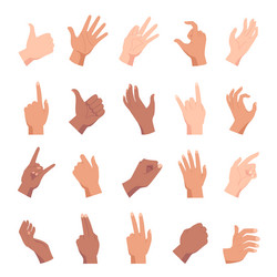 Cartoon hand poses holding pointing and like vector