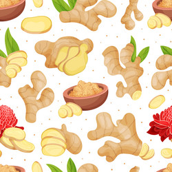 Organic ginger design with root and blooming Vector Image