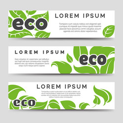 Eco banners template with green leaves vector