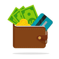 wallet with a lot of dollar money credit vector