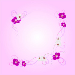 arrangement of orchid flowers vector