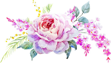 Watercolor Rose Bouquet Vector Image