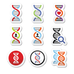 Dna genetics icons set vector