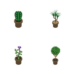 isometric flower set of houseplant tree vector