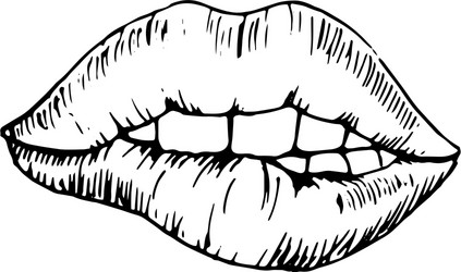 Sketch monochromatic drawing bitten lip vector