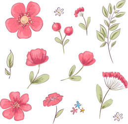 set red poppies and daisies hand drawing Vector Image