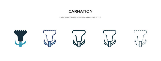 carnation icon in different style two colored vector image