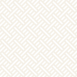 abstract geometric pattern with stripes lattice vector image