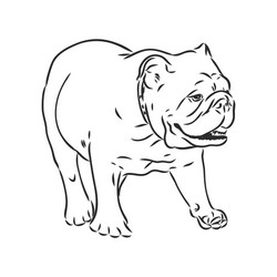 line art french bulldog with three difference Vector Image