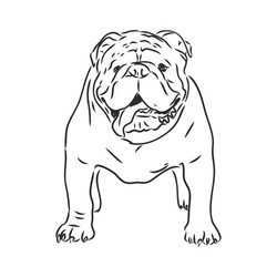 line art french bulldog with three difference Vector Image
