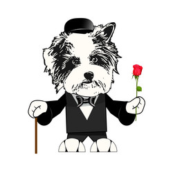 dog in tuxedo with rose vector