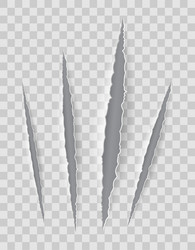 Scratch claw cuts paper with transparent shadows vector