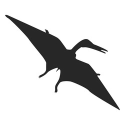 Pterosaur silhouette vector