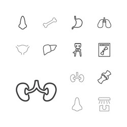 14 anatomy icons Royalty Free Vector Image - VectorStock