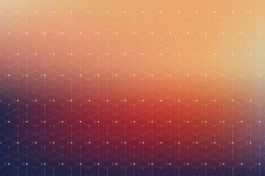geometric pattern with connected lines and dots vector image