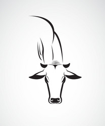 cow Vector Image