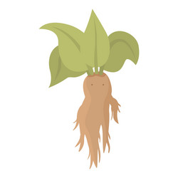 Mandrake Plant Stock Illustrations – 263 Mandrake Plant Stock