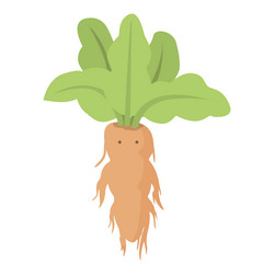 130+ Mandrake Plant Illustrations, Royalty-Free Vector Graphics