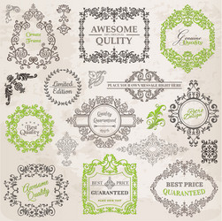Calligraphic design elements vintage set Vector Image