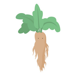 Mandrake Mandragora Root Vector Images (85)