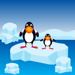 Penguins on block of ice vector