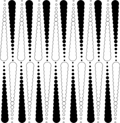an abstract pattern in form ornament vector image
