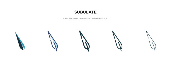 subulate icon in different style two colored vector image