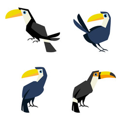 toucan flat style isolated on white Vector Image