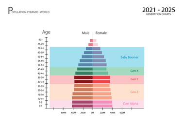 2021-2025 population pyramids graphs with 5 gener vector image