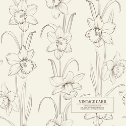 Daffodil Botanical Print Vector Image