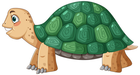 Side view of turtle with green shell in cartoon vector