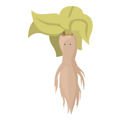 Chinese mandrake icon cartoon magic mandragora vector