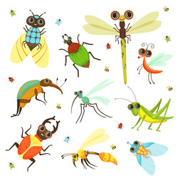 Bugs butterfly and other insects in cartoon style vector