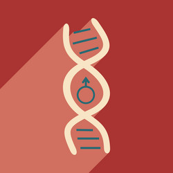 Flat with shadow icon and mobile application genes vector