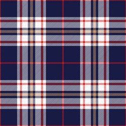 blue red tartan plaid scottish pattern vector