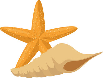 Starfish with snail shell Royalty Free Vector Image