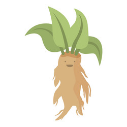 Mandrake Plant Stock Illustrations – 263 Mandrake Plant Stock