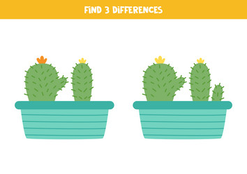 find 3 differences between two cacti in pots vector image